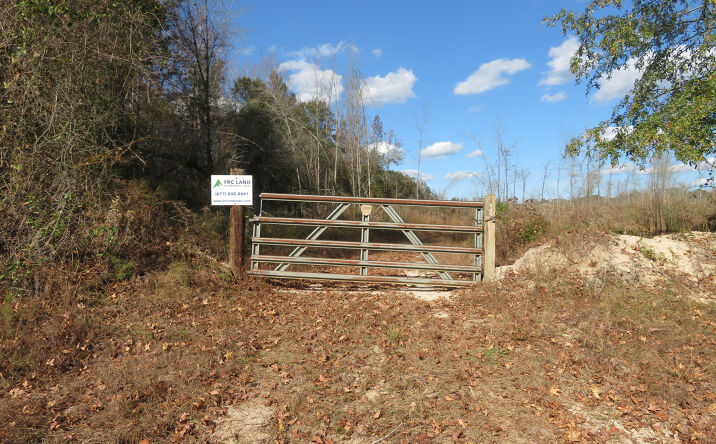 Pictures of Land property located at Union Pleasant Grove, Union, GA 31825 for sales - image #1