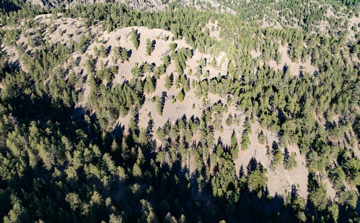 Pictures of Land property located at TBD Big Pine Lane, Cascade, MT 59421 for sales - image #1