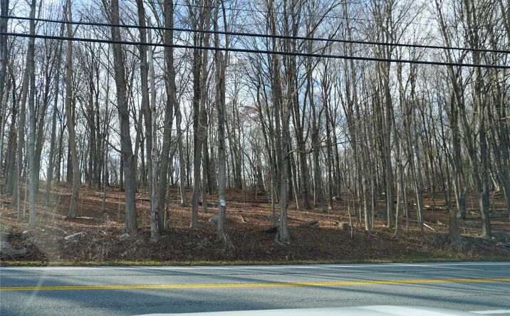 Pictures of Land property located at Rt-301, Kent, NY 10512 for sales - image #1