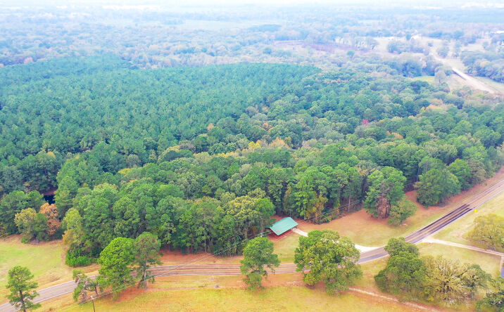Pictures of Land property located at 5015 FM 561, Simms, TX 75574 for sales - image #1