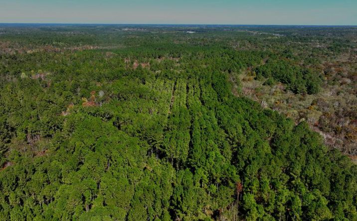 Pictures of Land property located at Anderson Road, Statesboro, GA 30458 for sales - image #1