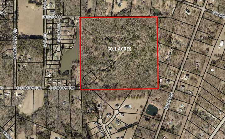 Pictures of Land property located at Country Rd, Bonaire, GA 31005 for sales - image #1