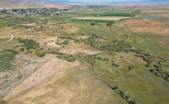 Pictures of Land property located at Saw Dust Lane & East Shore Rd, Bloomington, ID 83223 for sales - image #1