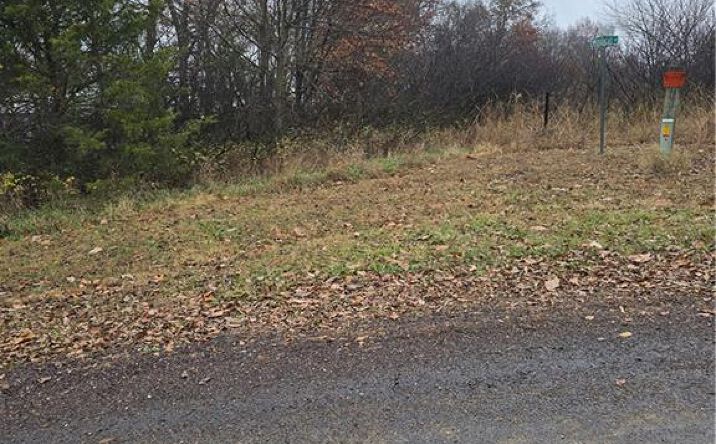 Pictures of Land, Special Purpose property located at 129 Woodcut Drive, Linn Valley, KS 66040 for sales - image #1