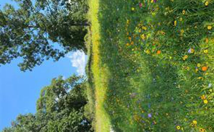 Pictures of Land, Special Purpose property located at Lot 5 Camp Sunset Road, Plattekill, NY 12568 for sales - image #1