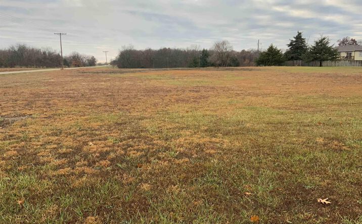 Pictures of Land property located at Ferguson RD #Main St. & Park Hill Dr., Ozawkie, KS 66070 for sales - image #1