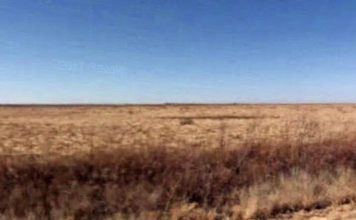 Pictures of Land property located at 206 Highway, Pep, NM 88126 for sales - image #1