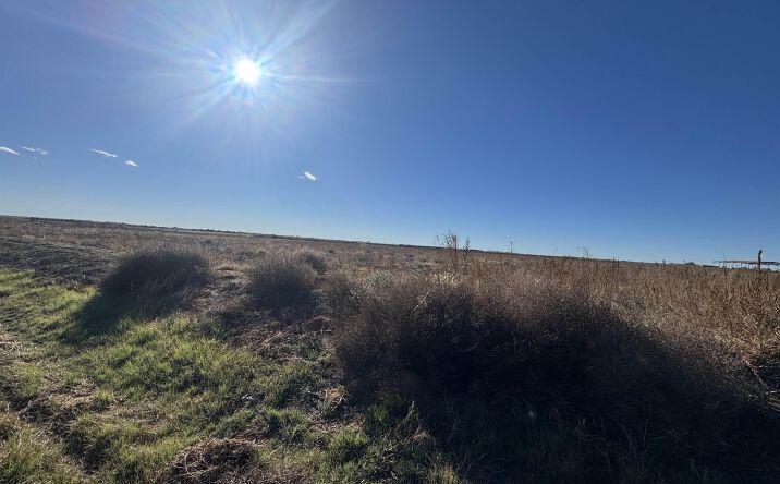 Pictures of Land property located at 3600 Bandolier Road, Clovis, NM 88101 for sales - image #1
