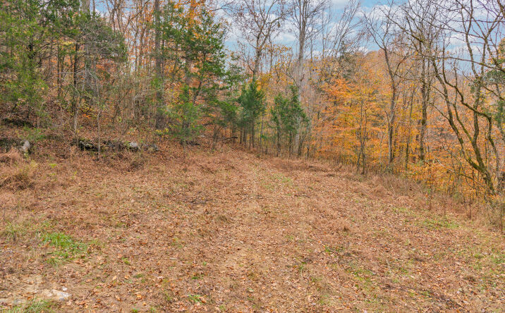 Pictures of Land property located at Ensor Hollow Rd, Buffalo Valley, TN 38548 for sales - image #1