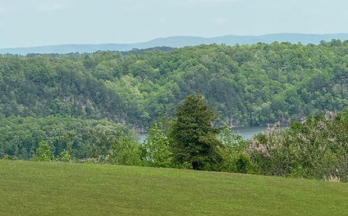 Pictures of Land property located at Holly Bend Dr (Lot 13), Byrdstown, TN 38549 for sales - image #1