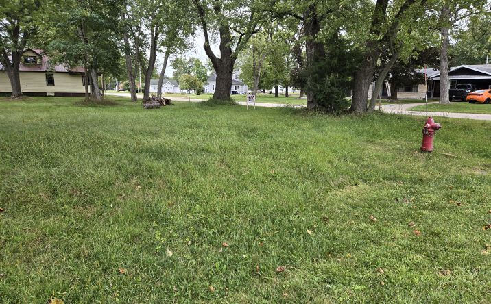 Pictures of Land property located at Raymond St and W First, Friendship, WI 53934 for sales - image #1