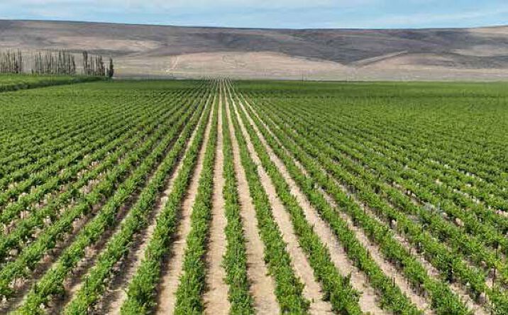 Pictures of Land property located at Rd S SW, Mattawa, WA 99349, Rd 24 SW, Mattawa, WA 99349, Rd 24 SW, Mattawa, WA 99349, Wahluke Rd SW, Desert Aire, WA 99349, Ash St, Burbank, WA 99323 for sales - image #1