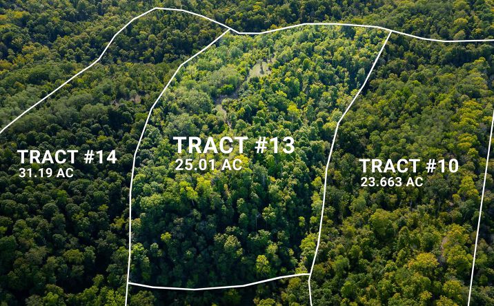 Pictures of Land property located at Tract 13 N State Road 156, Patriot, IN 47038 for sales - image #1
