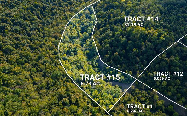 Pictures of Land property located at Tract 15 N State Road 156, Vevay, IN 47038 for sales - image #1