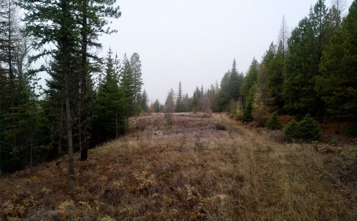 Pictures of Land property located at 15A Shoshone Trail, Troy, MT 59935 for sales - image #1