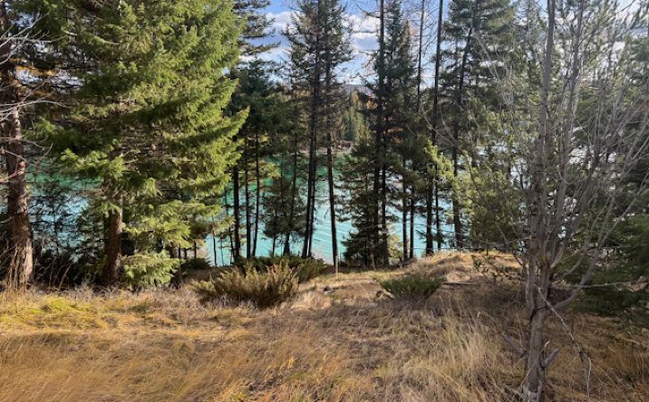 Pictures of Land property located at 3910 N Ashley Lake Road, Kalispell, MT 59901 for sales - image #1