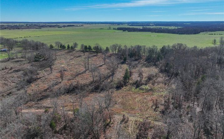 Pictures of Land, Special Purpose property located at 000 SE 1151 Road, Collins, MO 64738 for sales - image #1