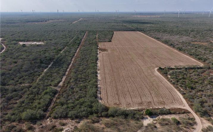 Pictures of Land property located at Pipeline Road, Sullivan City, TX 78582 for sales - image #1