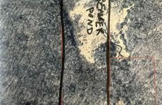 28689944