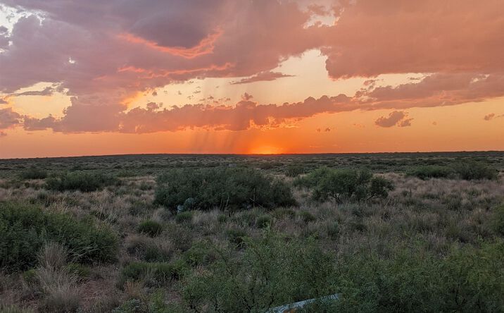 Pictures of Land property located at Llauds Road, Roswell, NM 88201 for sales - image #1