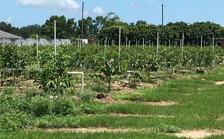 Pictures of Land property located at 15000 SW 256 ST., Homestead, FL 33032 for sales - image #1
