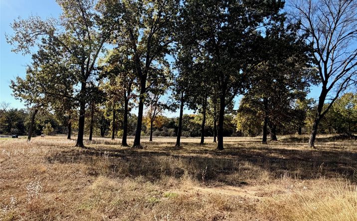 Pictures of Land property located at Texoma Court, Kingston, OK 73439 for sales - image #1