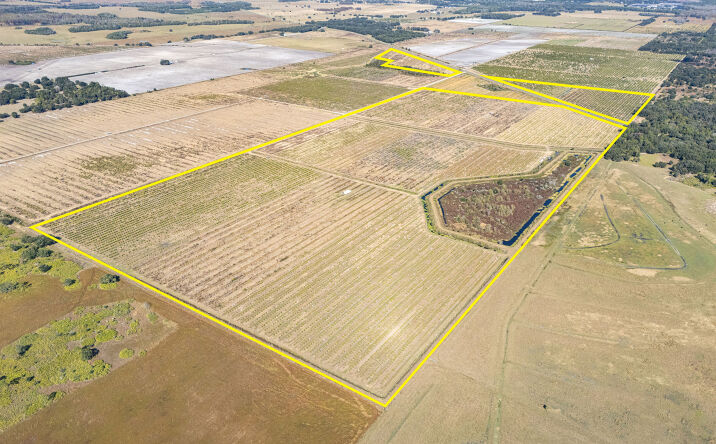 Pictures of Land property located at State Rte 66, Zolfo Springs, FL 33890 for sales - image #1