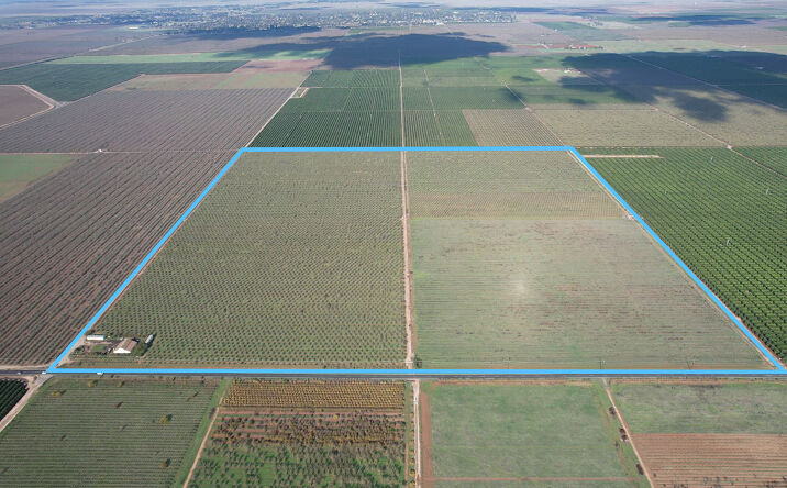 Pictures of Land property located at 37107 Ave 9, Madera, CA 93636 for sales - image #1