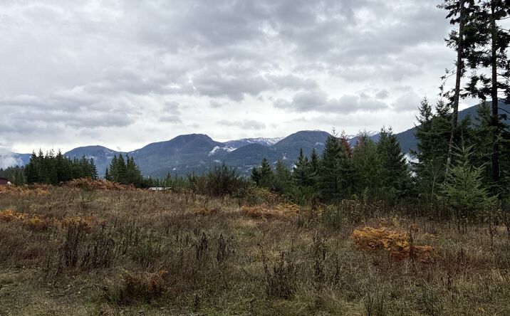 Pictures of Land property located at 2 XX Forest Road 52, Packwood, WA 98361 for sales - image #1
