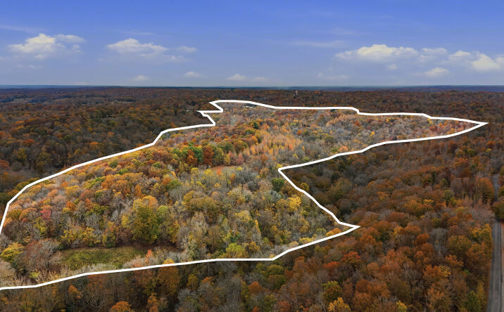 Pictures of Land property located at 0 Vaughn Lane, Indian Mound, TN 37079 for sales - image #1