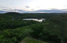 28712040