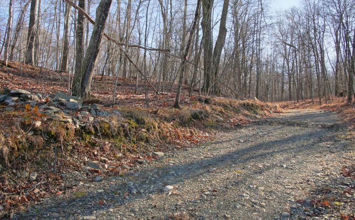 Pictures of Land property located at Electronics Road, Clinton, NY 12514 for sales - image #1