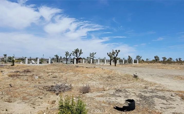 Pictures of Land property located at Pearblossom Hwy and 190th St E, Llano, CA 93544 for sales - image #1
