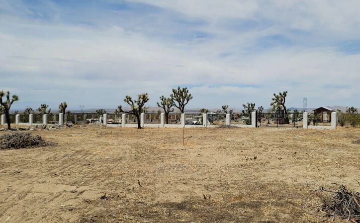 Pictures of Land property located at Pearblossom Hwy and 190th St E, Llano, CA 93544 for sales - image #1