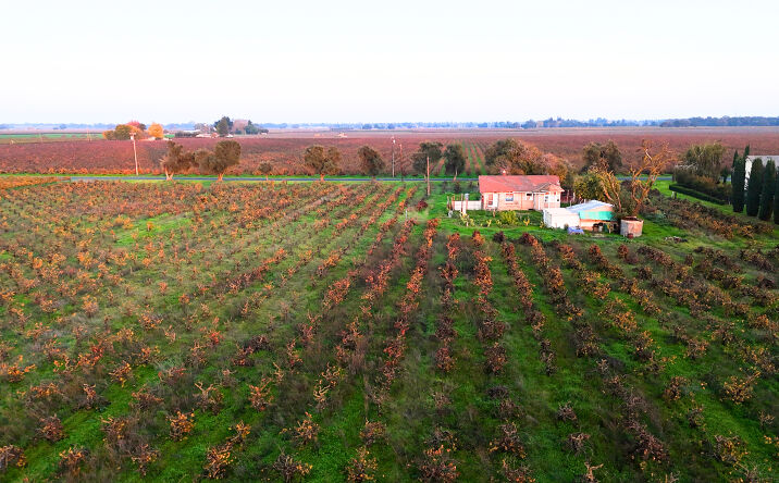 Pictures of Land property located at 19217 N Devries, lodi, CA 95242 for sales - image #1