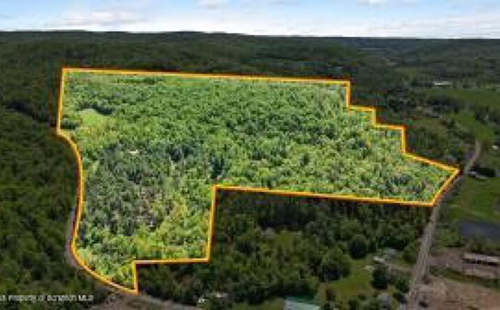 Pictures of Land property located at SR267 & Quaker Lake Road, Friendsville, PA 18818 for sales - image #1