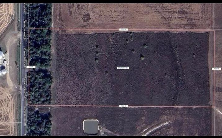 Pictures of Land property located at Coonie Jackson Road, Ragley, LA 70657 for sales - image #1