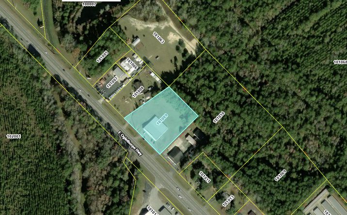 Pictures of Special Purpose property located at 4118 East Oglethorpe Highway, Hinesville, GA 31313 for sales - image #1