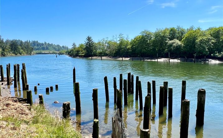 Pictures of Land property located at 1010 Division Street, Hoquiam, WA 98550 for sales - image #1