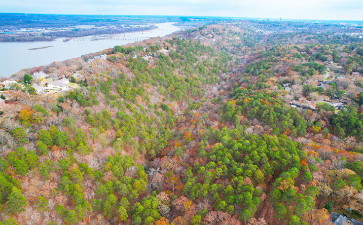 Pictures of Land property located at 3811 Foxcroft Rd, Little Rock, AR 72227 for sales - image #1