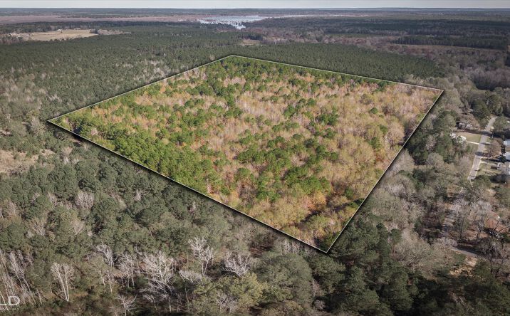 Pictures of Land, Mixed Use property located at Camelia St, Vivian, LA 71082 for sales - image #1