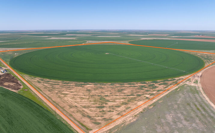 Pictures of Land property located at County Road 625, Dimmitt, TX 79027 for sales - image #1