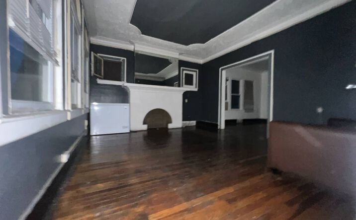 Pictures of Mixed Use property located at 3311 W Grand, Detroit, MI 48238 for sales - image #1