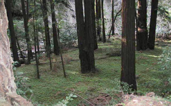 Pictures of Land property located at 0 Slate Creek Road, La Honda, CA 94020 for sales - image #1