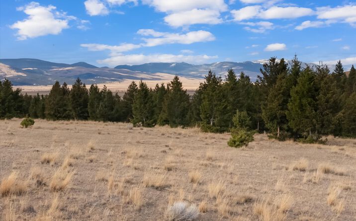 Pictures of Land property located at NHN Homestead Creek Drive, Anaconda, MT 59711 for sales - image #1