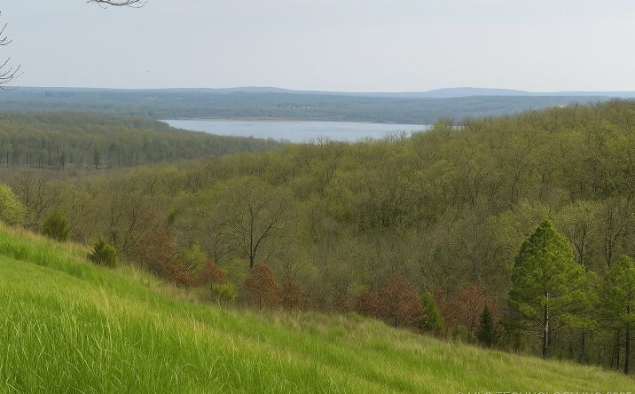 Pictures of Land property located at 36140 S Magnolia Lane, Park Hill, OK 74451 for sales - image #1