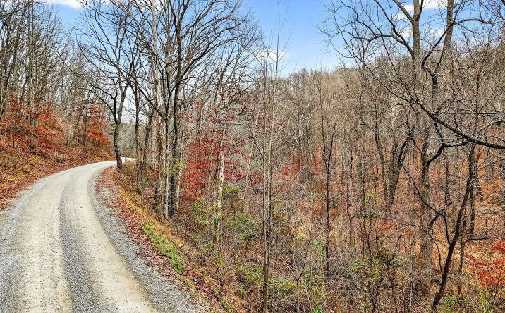 Pictures of Land property located at Jones Road, Vinton, OH 45686 for sales - image #1