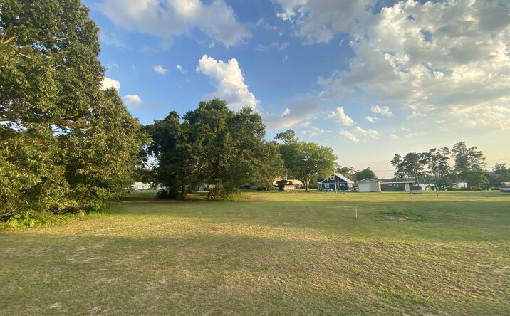 Pictures of Land, Industrial, Office, Multifamily property located at 1583 Wyboo Avenue, Manning, SC 29102 for sales - image #1