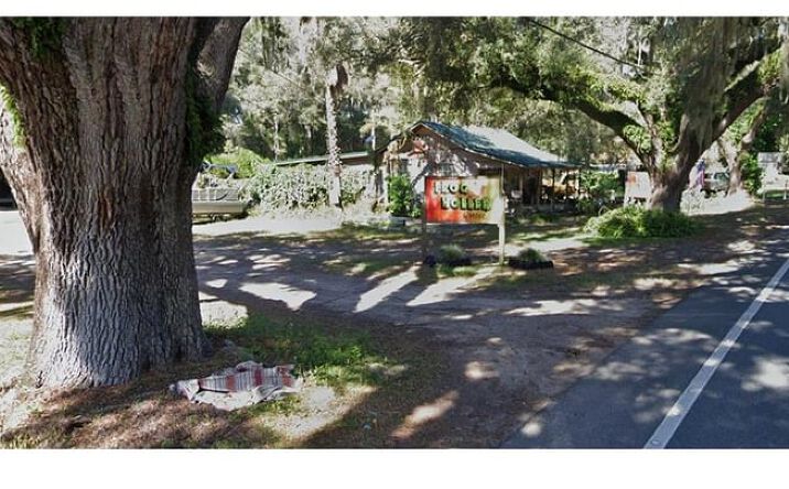 Pictures of Land property located at 7698 S Florida Ave, Floral City, FL 34436 for sales - image #1