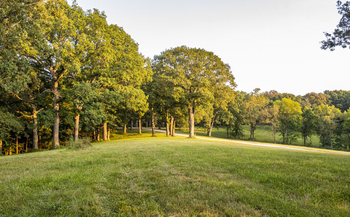 Pictures of Land property located at State Hwy D, Eolia, MO 63344 for sales - image #1